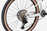 ROCKRIDER Race 900 S