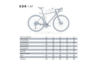 VAN RYSEL EDR AF2 Gris