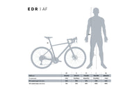 VAN RYSEL EDR AF Gris graphite