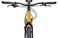ROCKRIDER ADVT 920
