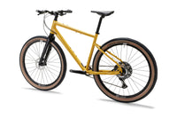 ROCKRIDER ADVT 920