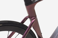 VAN RYSEL RCR Pro Blanc ultra/rose lotus/carbone