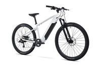 ROCKRIDER E-Explore 100