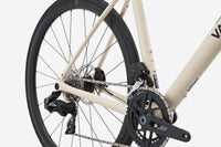 VAN RYSEL EDR CF SRAM Rival AXS Beige lin