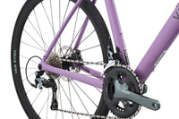 VAN RYSEL EDR CF Violet glycine