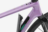 VAN RYSEL EDR-G CF Violet