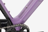 VAN RYSEL EDR-G CF Violet