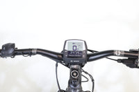 Haibike Sduro Trekking 7.0 Damen 2993 T.L