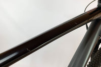 SCOTT scale 970