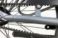 GAZELLE Chamonix S8 2021