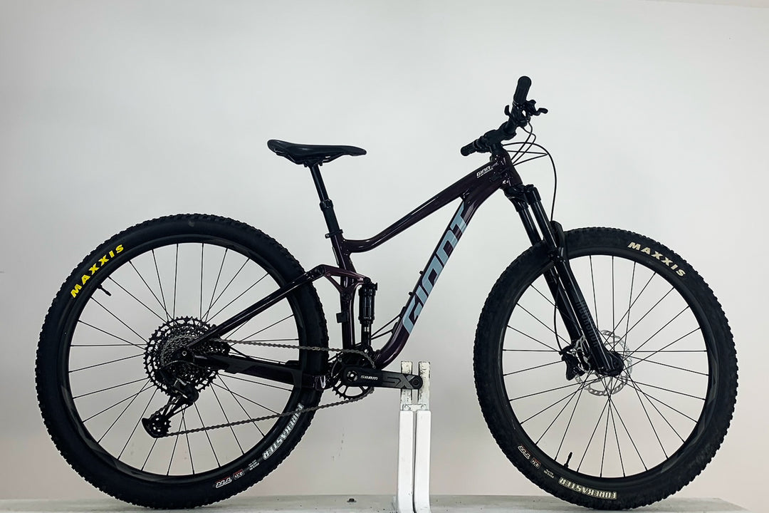 GIANT Stance 29.1
