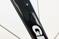 GIANT TCR Advanced SL Team 2010